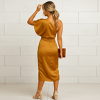 Women's slim fit dress for business meetings